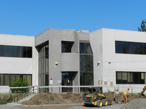 During the landscaping facelift.