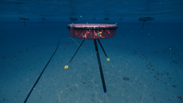 Underwater view of a CETO® ocean wave energy system unit in the foreground, with additional units visible in the distance on the ocean floor.